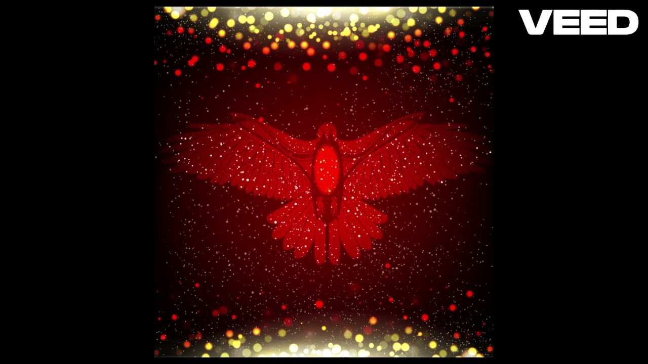 Wings to fly