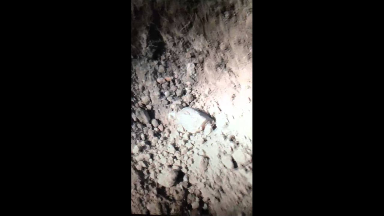 Gold Detecting Australia with Detech Australia & Stinky Pete 15 x 8 wide scan search coil