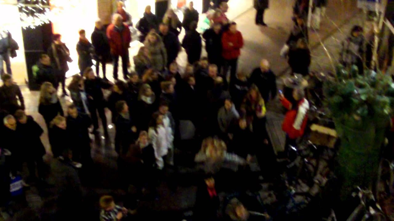 Ostrea lyceum flashmob