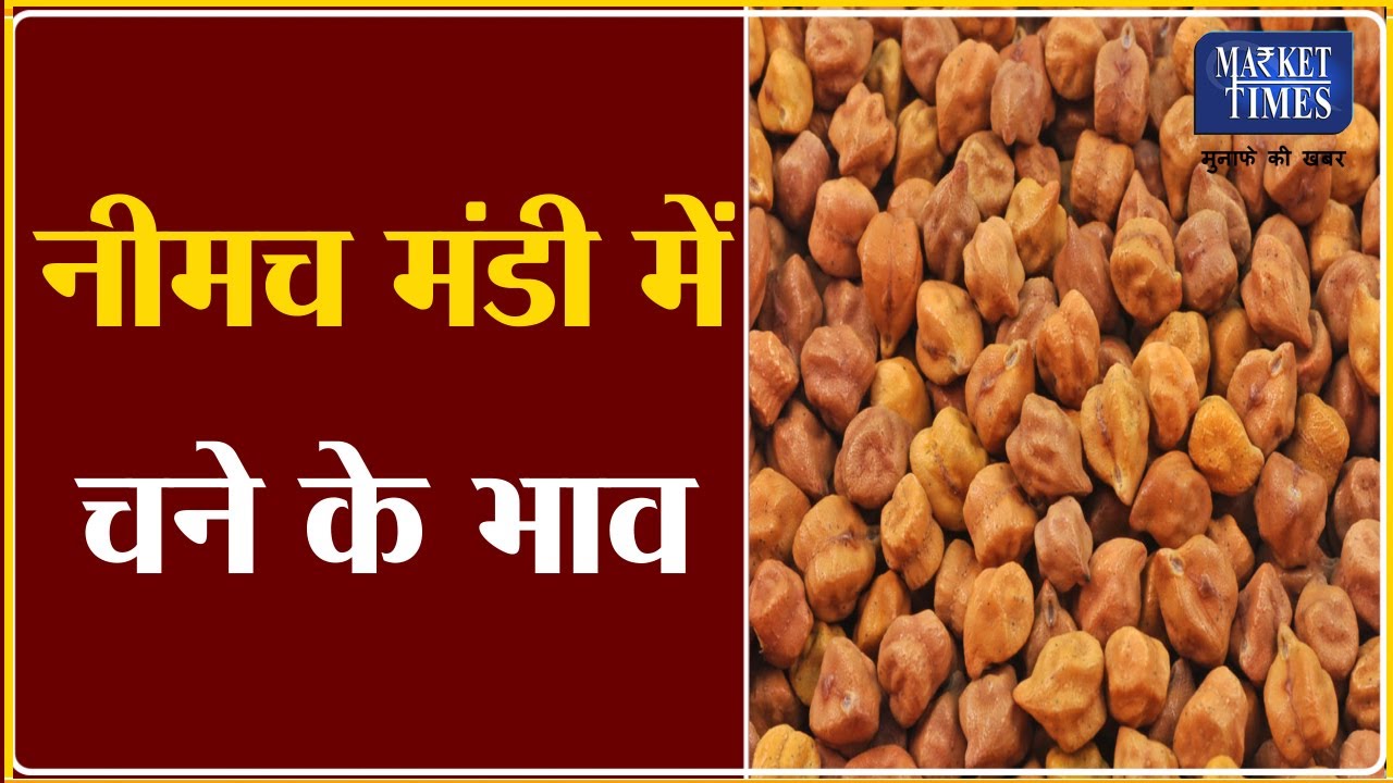 नीमच मंडी में चने के भाव Market Times TV #chana #chanamandi #chanabhav #daal #pulses #dollarchana