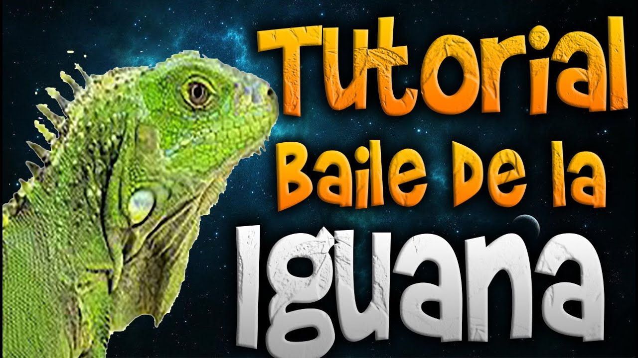 Frijolito [Tutorial baile de la Iguana]