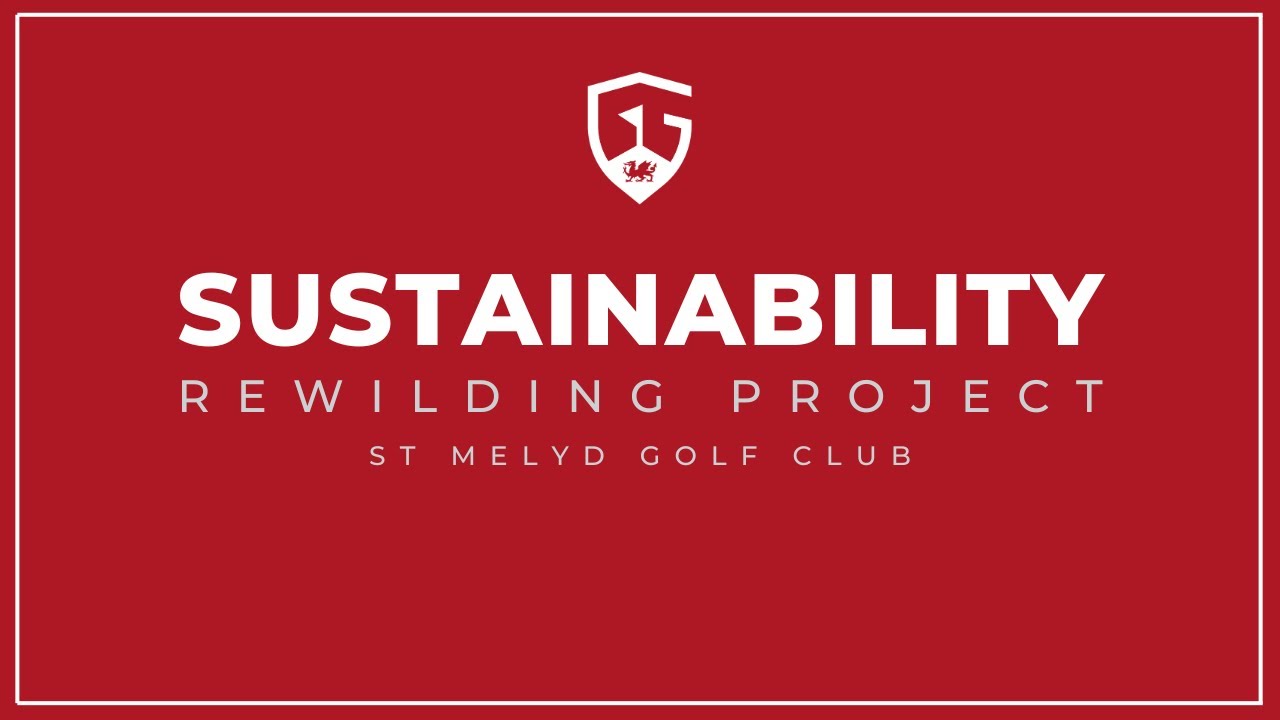St Melyd Case Study