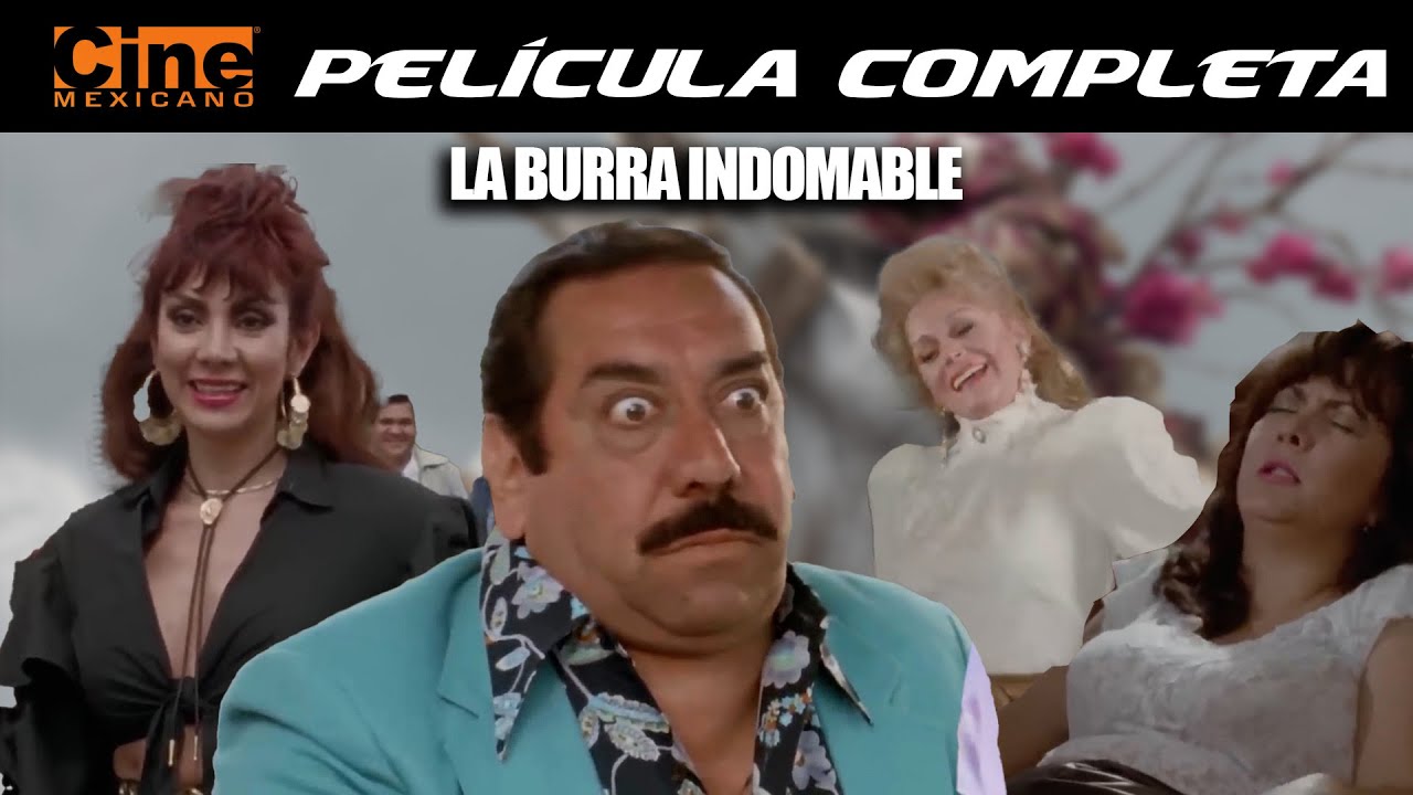 La Burra Indomable | Película Completa | Comedia Mexicana | Cine Mexicano