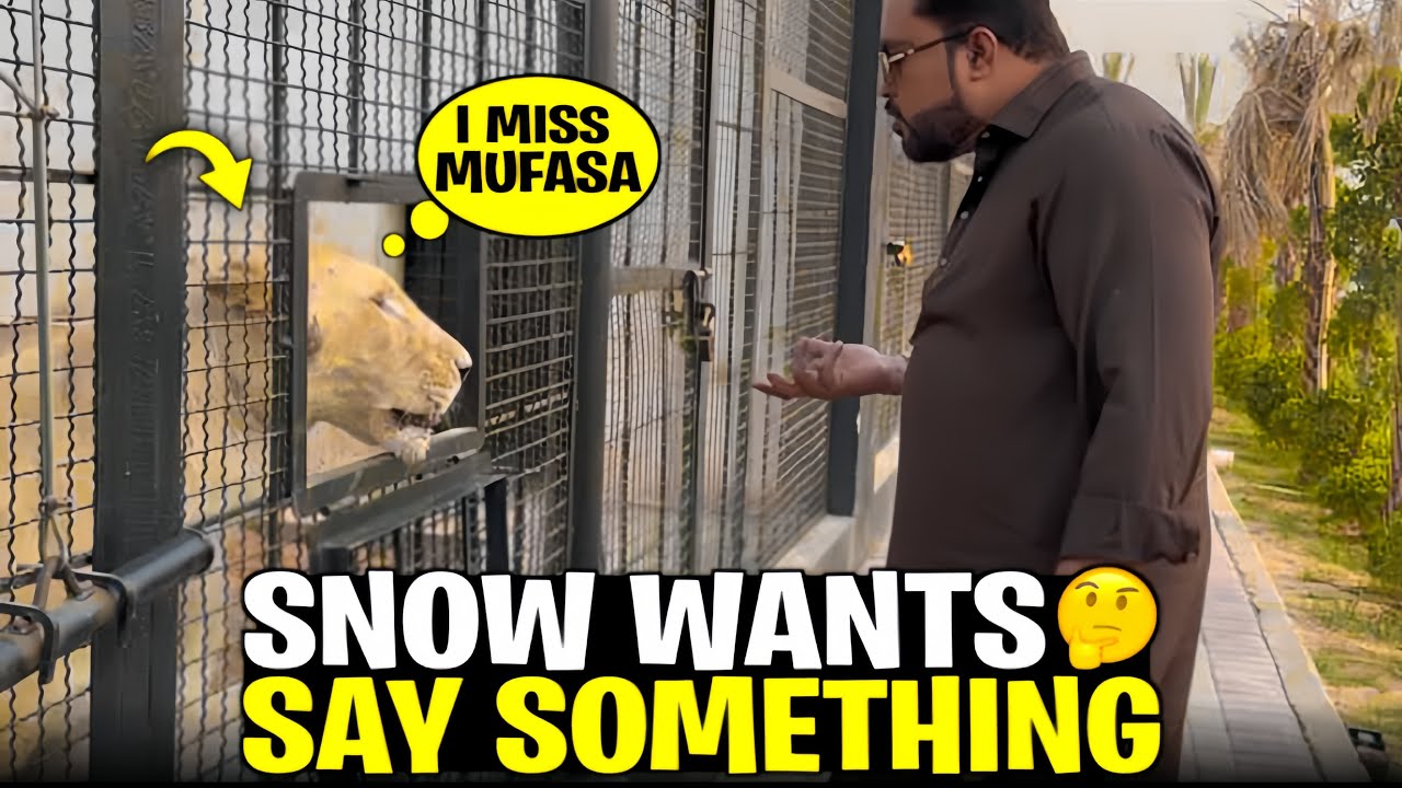 Bella horse kay room ma chali gai😱snow kuch kehna chahti mujh say 😰(mian saqib)