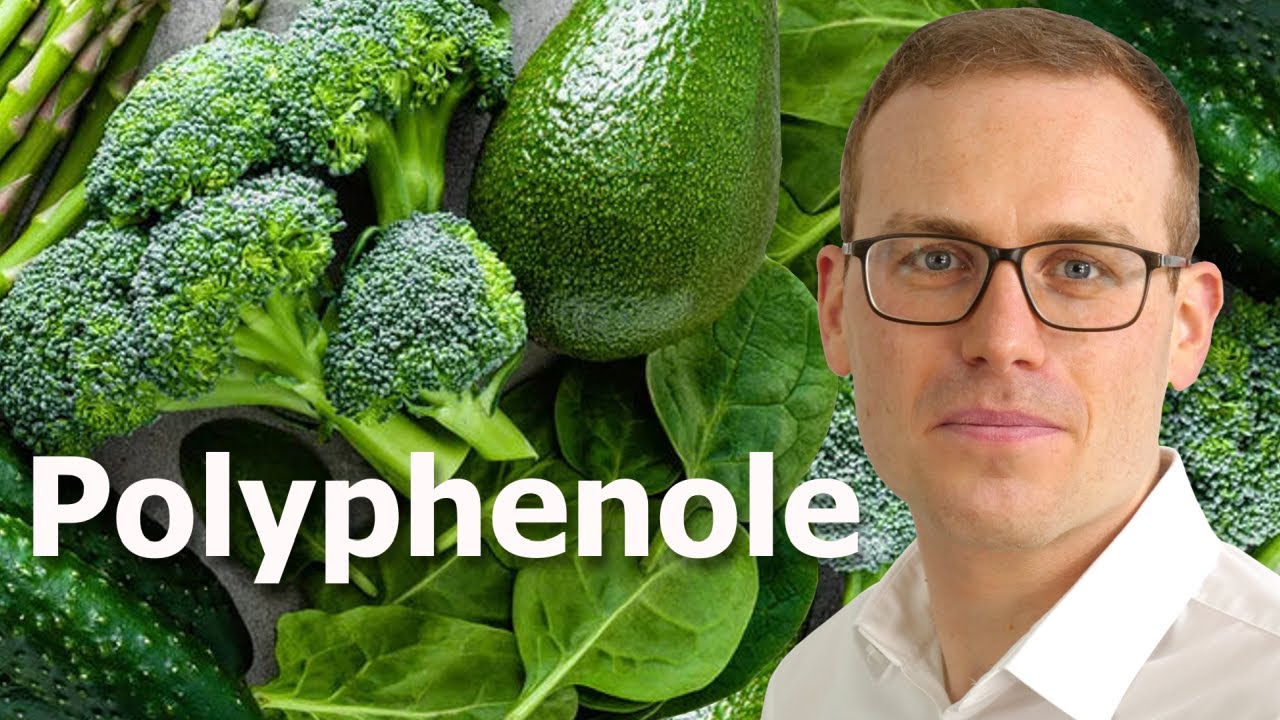 Polyphenole supplementieren – eine gute Idee? (Quercetin, Resveratrol, EGCG, OPC)