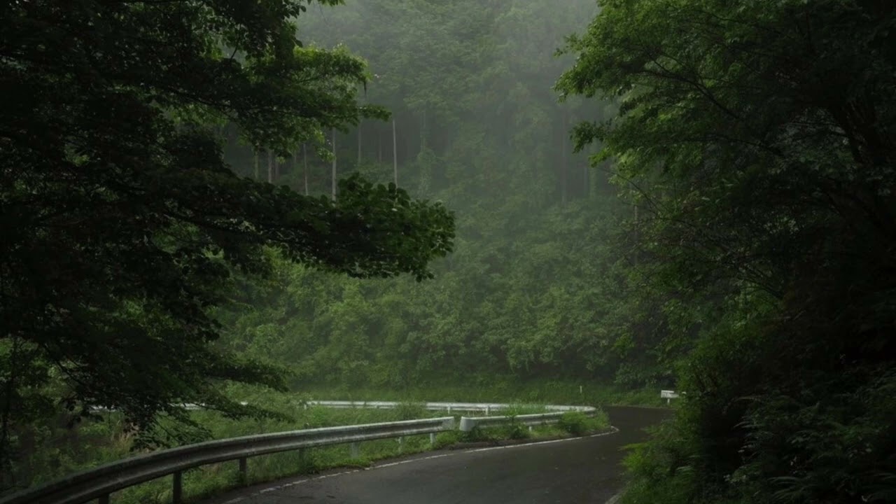 1.5 Hours of Relaxing Rain Sounds | Sleep, Focus & Calm Ambience