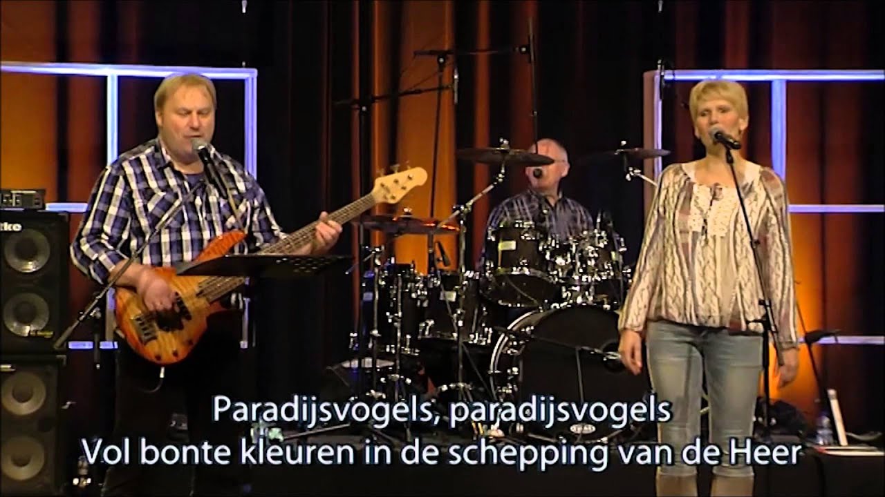 Country Trail Band - Paraijsvogels