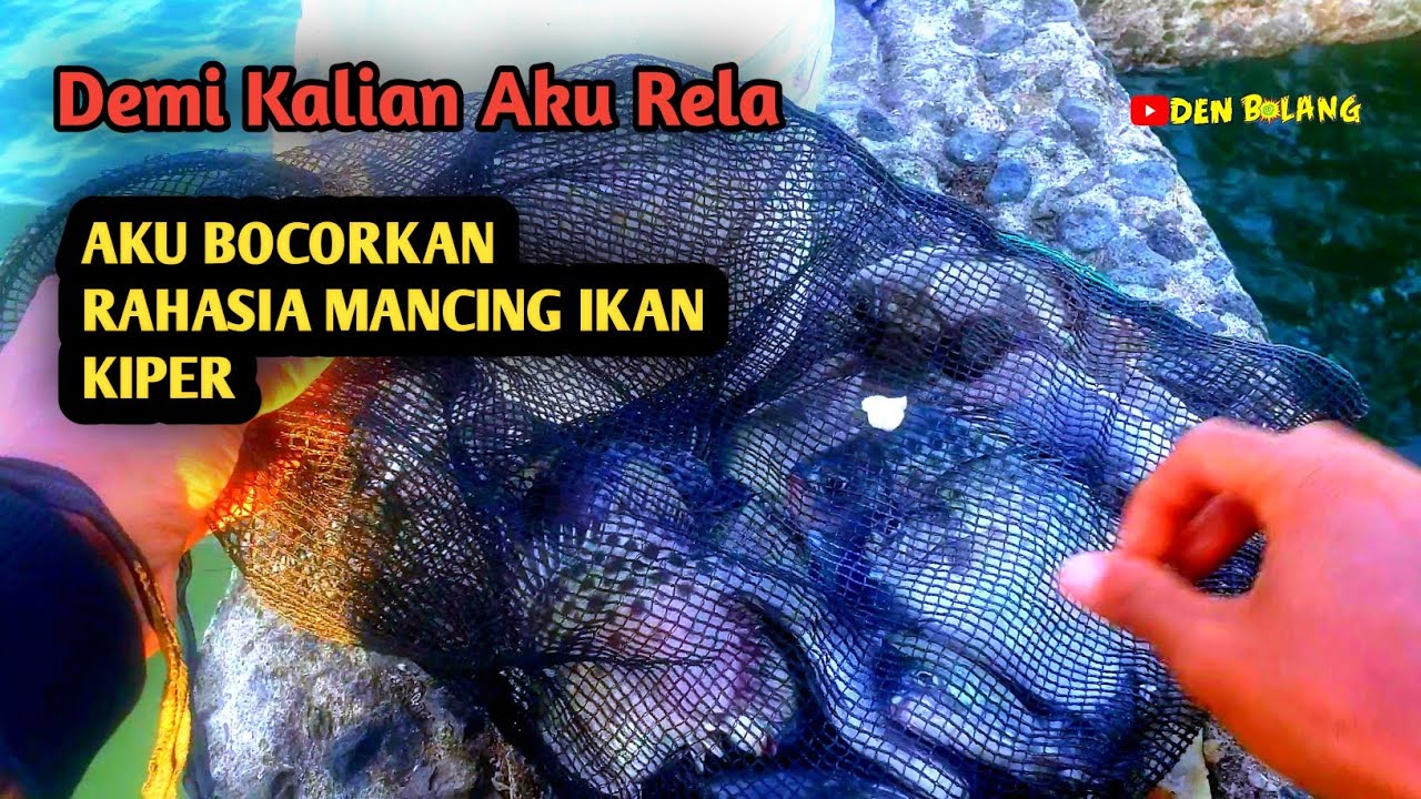 Cara mudah mancing ikan kiper anti ribet
