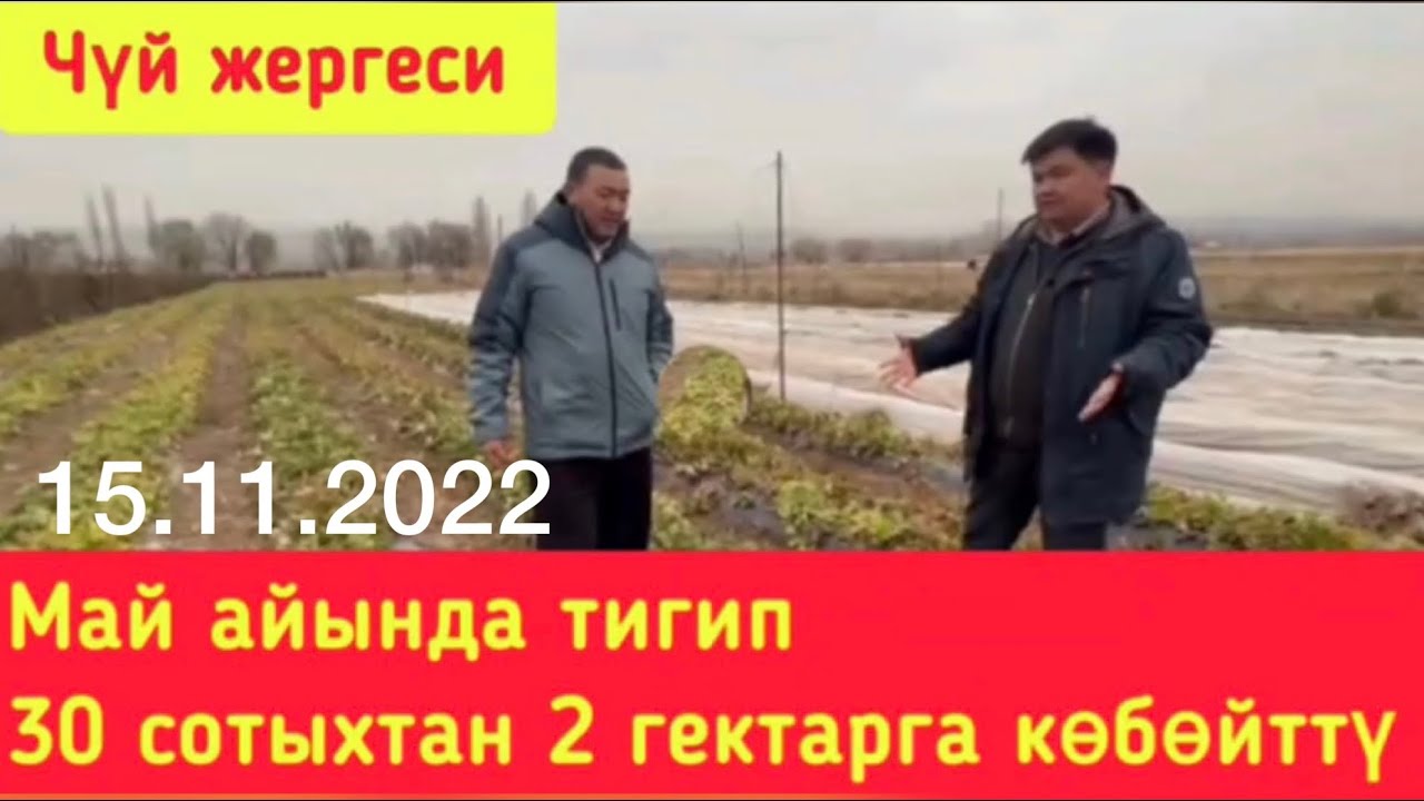 30 сотыхтан 2 гектарга көчөттү кантип көбөттү?