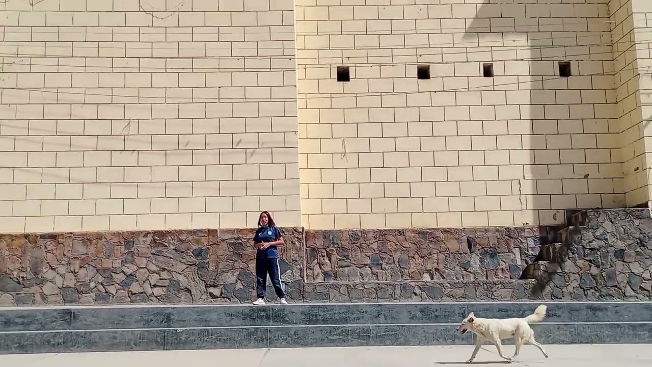 REPORTAJE A HU&Aacute;CAR, HU&Aacute;NUCO - 2025