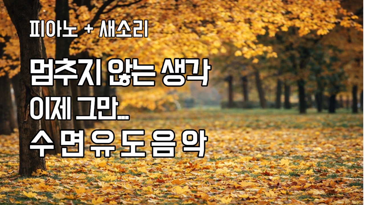 멈추지 않는 생각을 잠재우는 수면유도음악｜피아노·새소리 ASMR｜잠잘때 듣는 음악 1시간