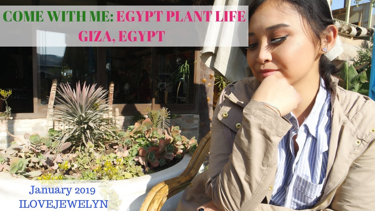 Come with me: Plant life in Giza, Egypt | January 2019 | ILOVEJEWELYN