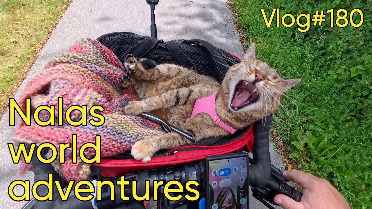 Vlog#180 Nala cat visits Monschau 😻