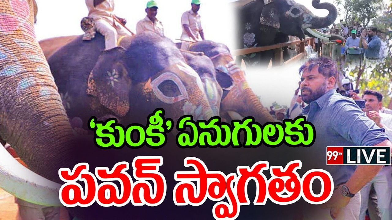 LIVE-| Pawan Kalyan Welcomes Kumki Elephants in Amaravati | అమరావతికి కుంకీ ఏనుగులు | 99TV