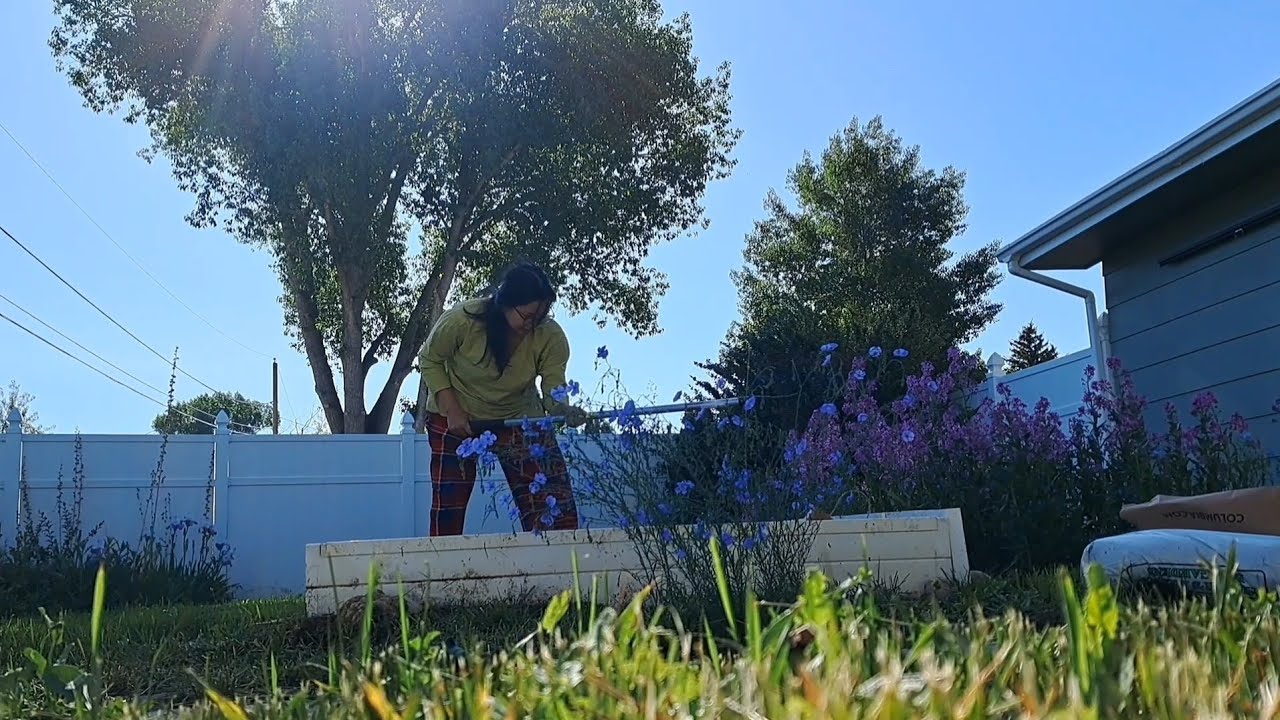 All that garden work, and what did I get? $10 worth of vegetables