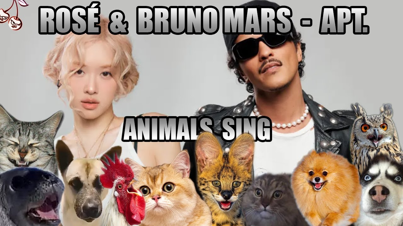 ROS&Eacute; & Bruno Mars - APT. (Animal Cover)