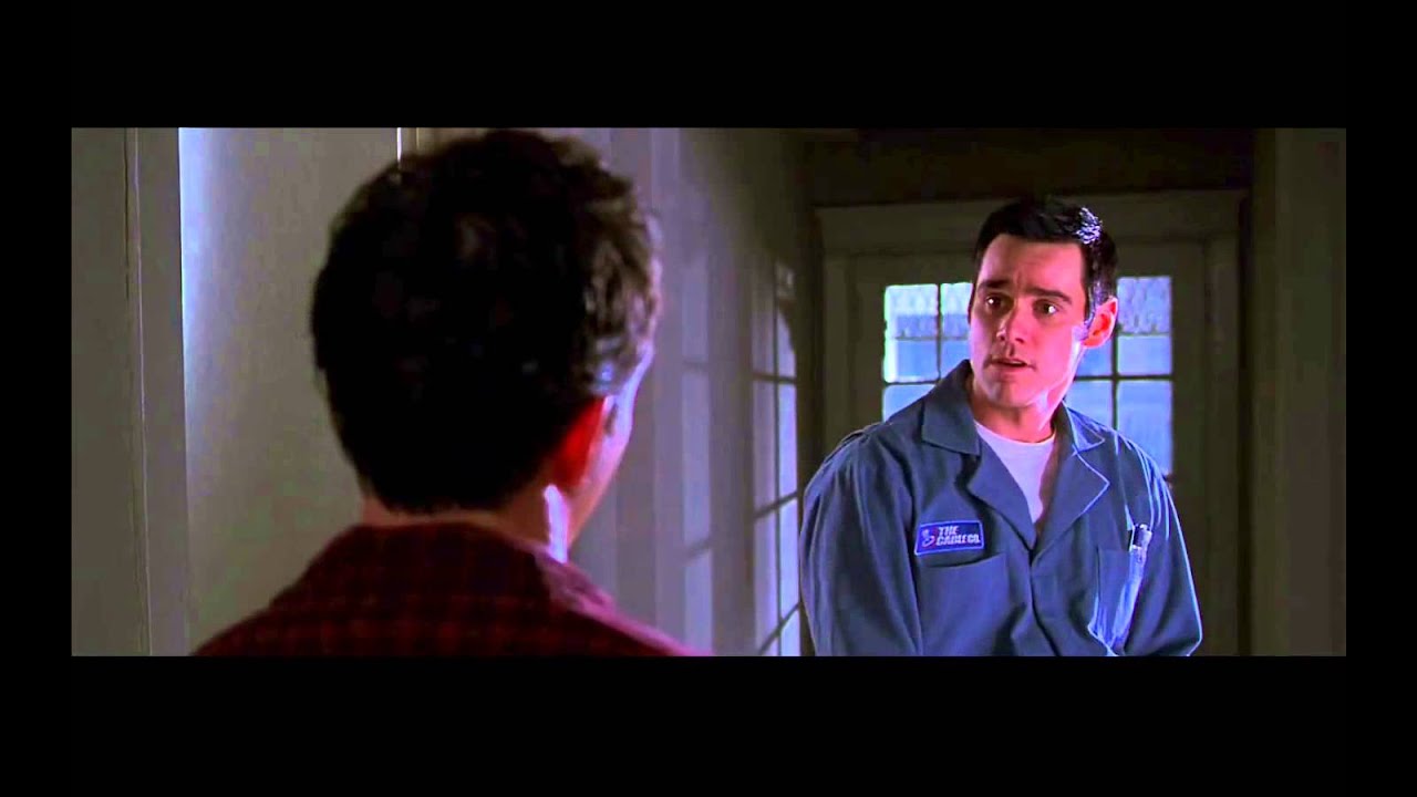 The Cable Guy - Perfectionis...t