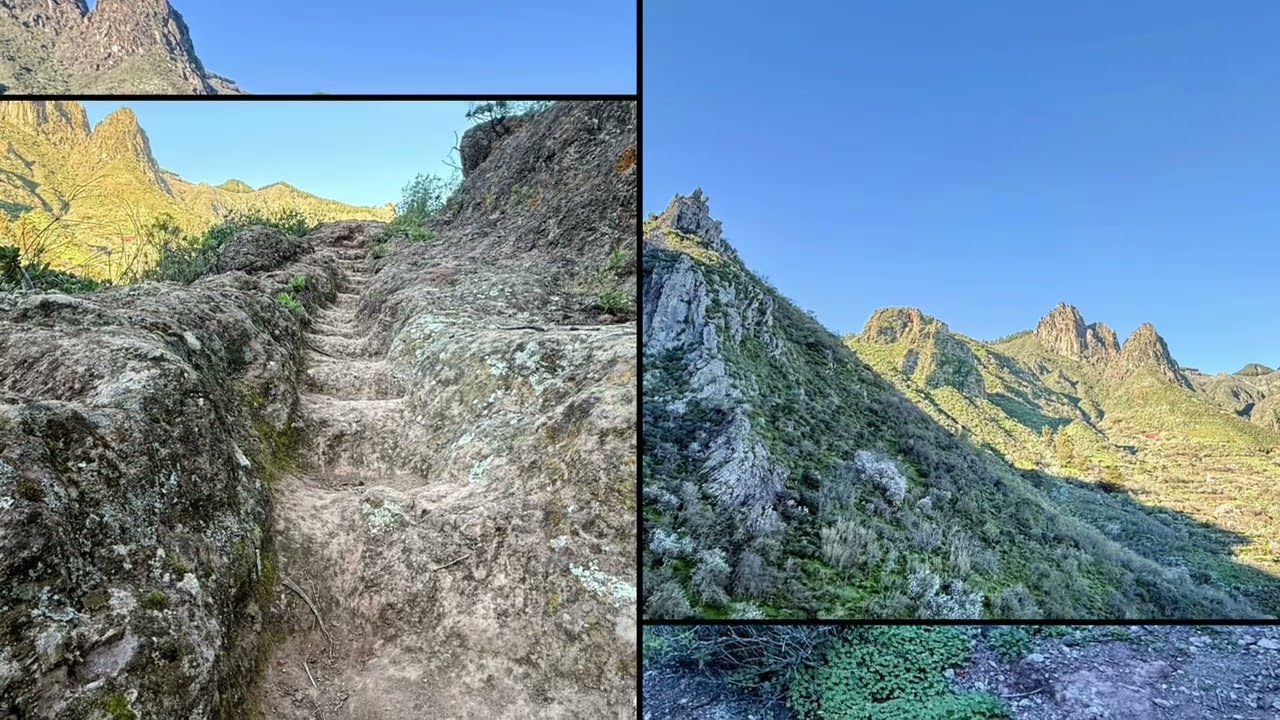 La cumbre y los almendros 
