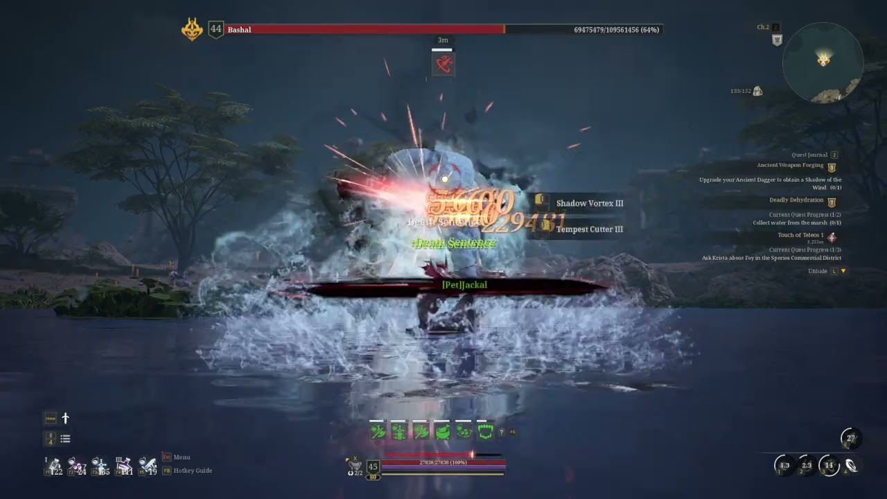 Bless Unleashed: CM Assassin Damage (Fully Maxed Lv25 Blessing)