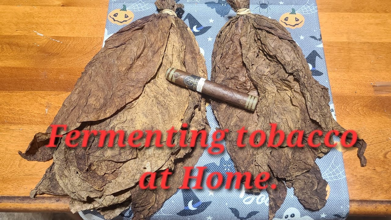 Fermenting Tobacco at Home