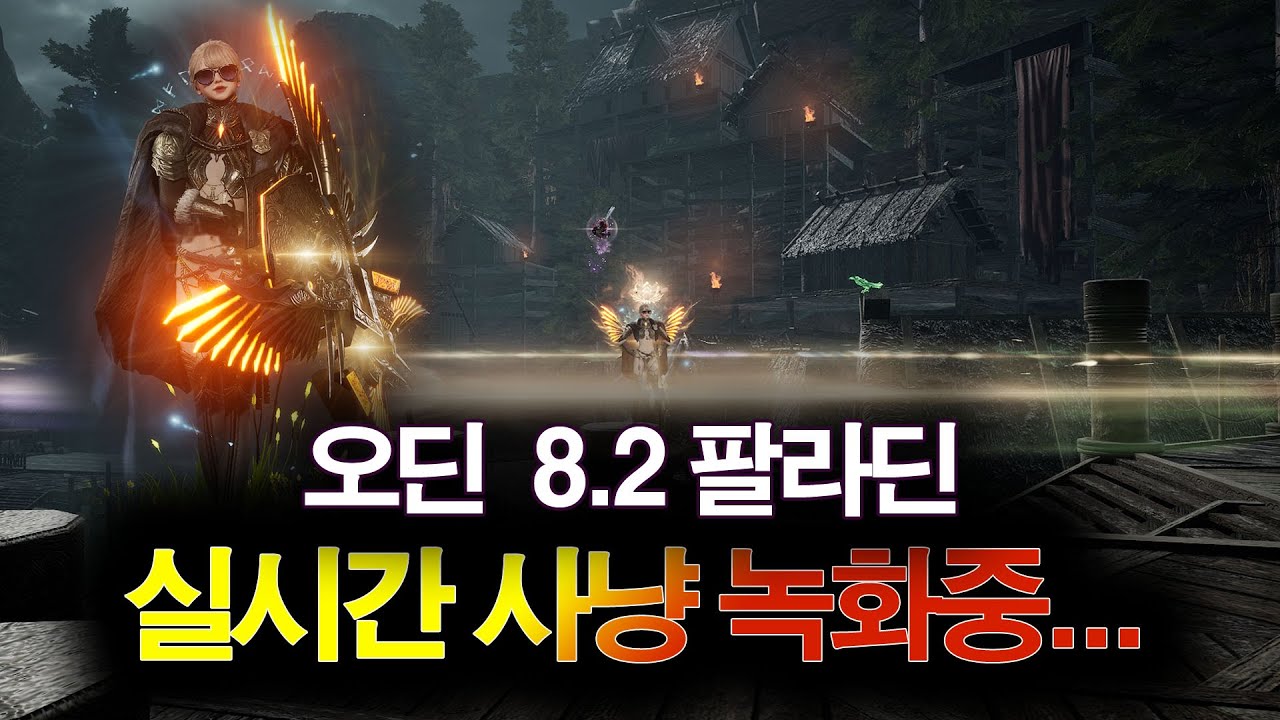[오딘] 오딘 8.2 팔라딘 사냥, 컬렉템 줍는 팔라딘 쓸만합니다.