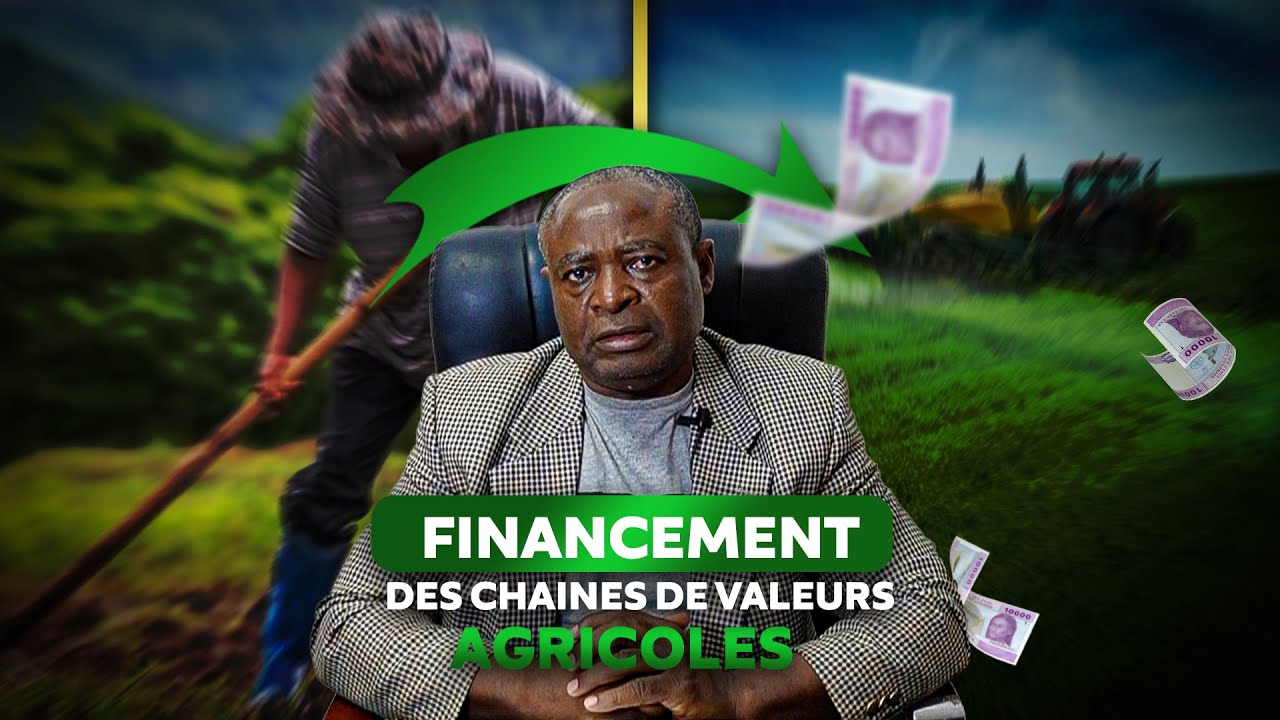 Comment Financer les Chaînes de Valeur Agricole : Analyse par Augustin Mabou