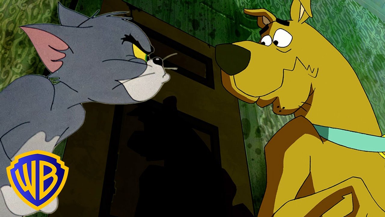CATS VS DOGS! 🐱🐶 | Classic Cartoon Compilation | @wbkids