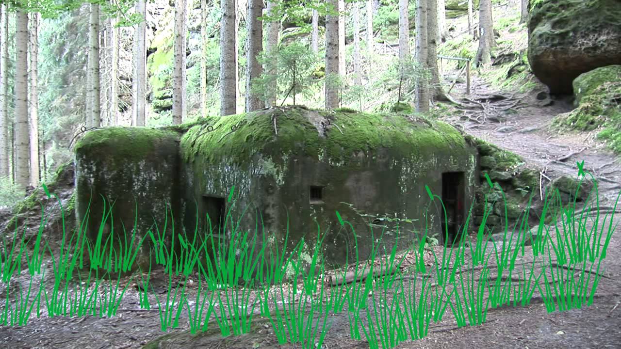 Děčínsko