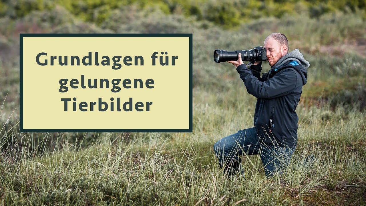 Tiere richtig fotografieren: 5 essentielle Tipps - egal, welche Kamera und welches Objektiv!