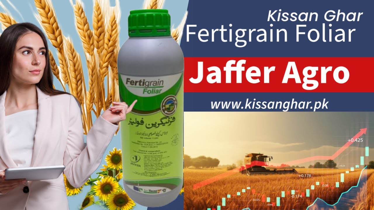 Fertigrain Foliar Jaffer Agro | Aminoacid Cobalt Magnesium zinc | Best Product tillers | Kisan Ghar