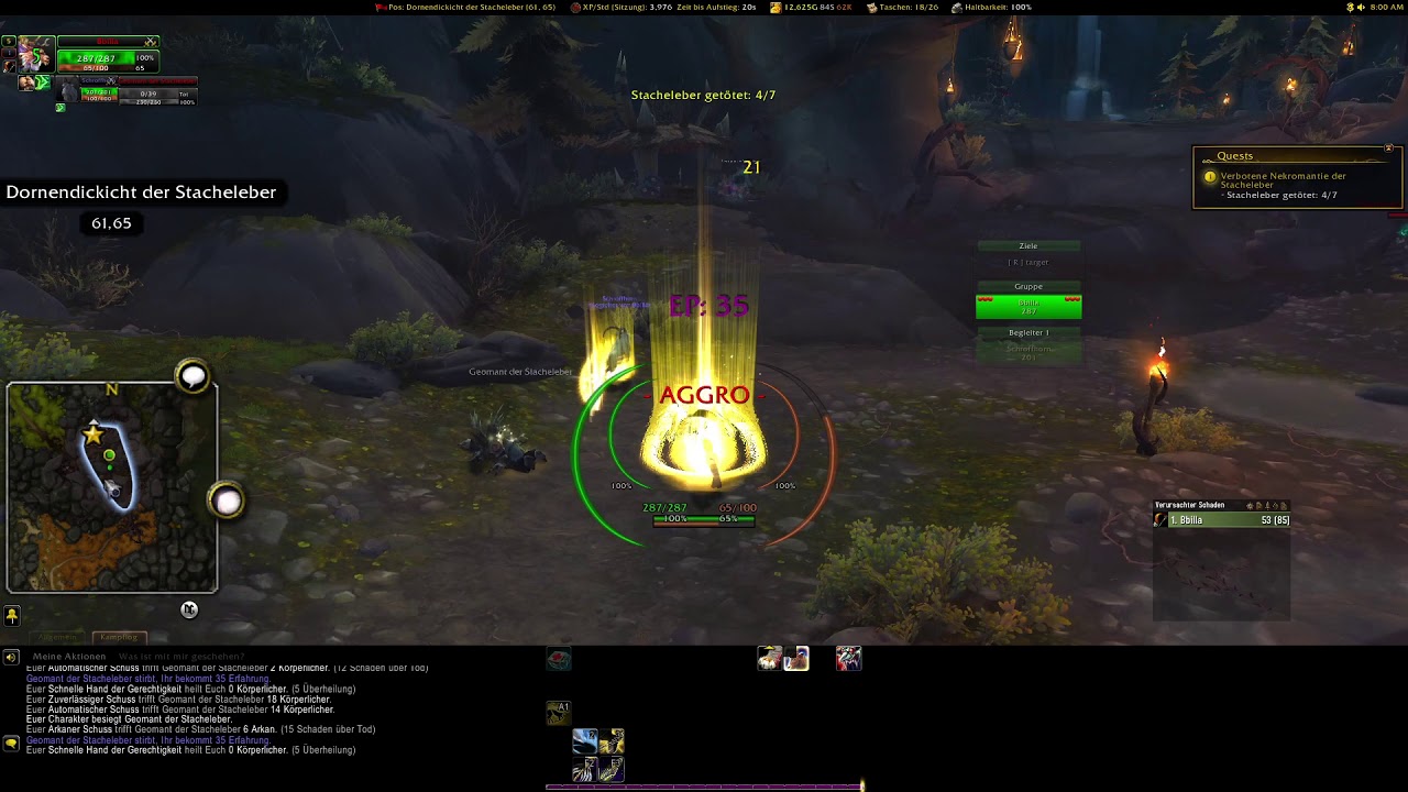 WoW - Quest - Verbotene Nekromantie der Stacheleber