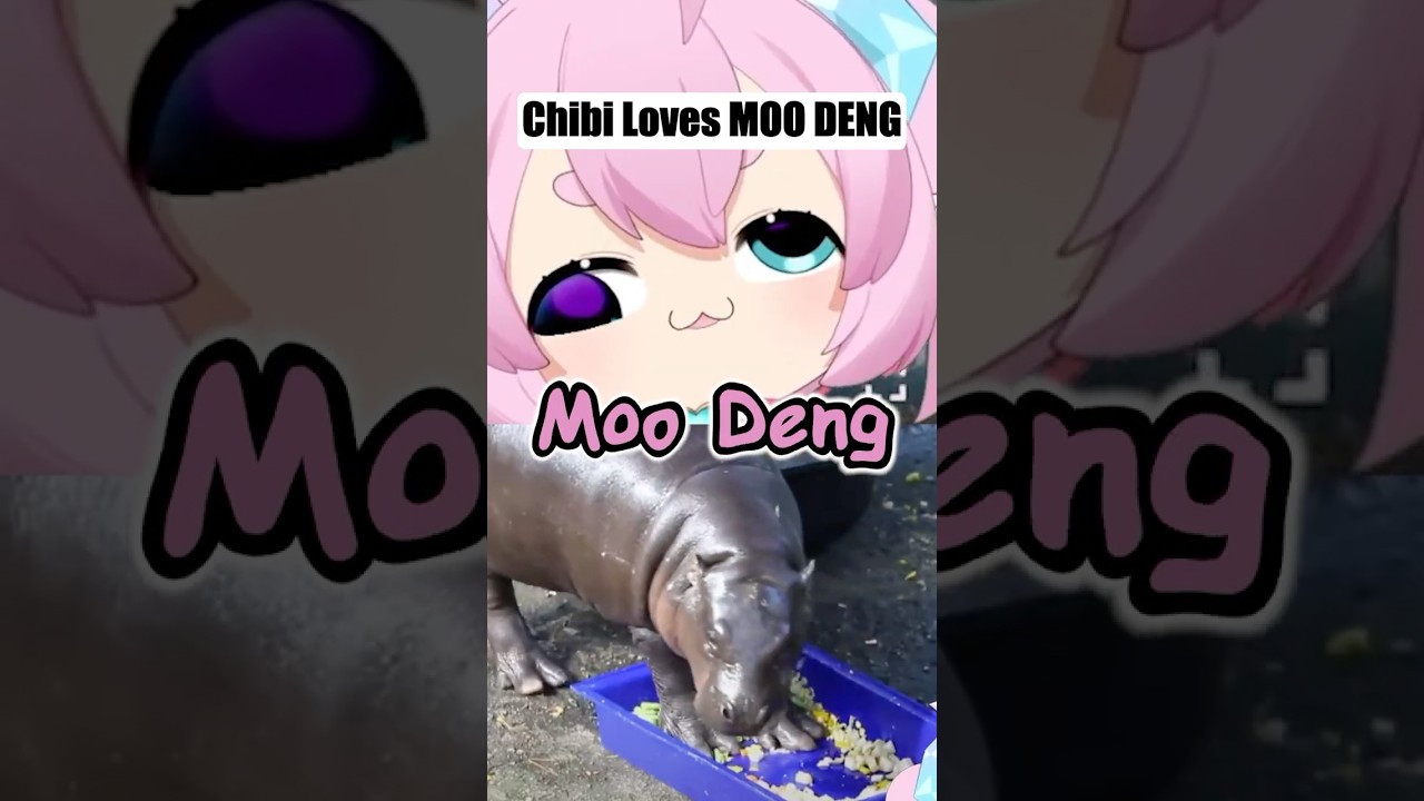 Chibi Wants MOO DENG!