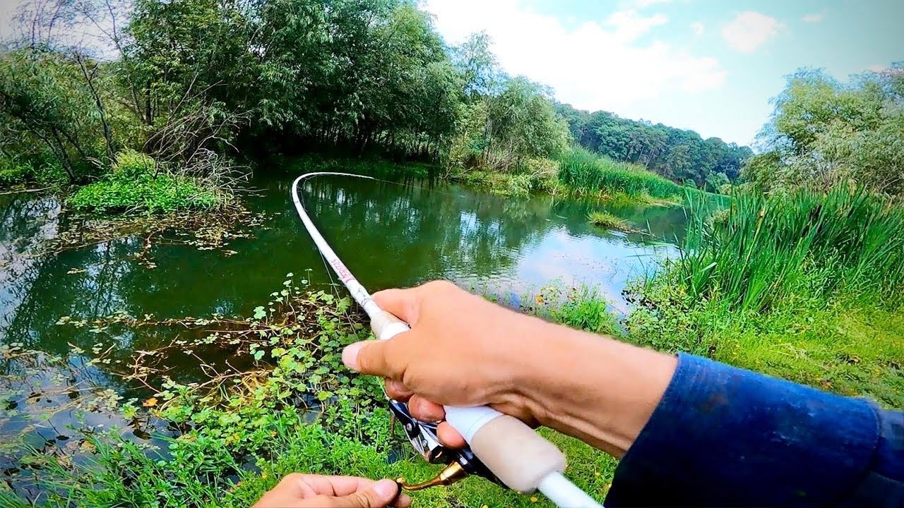 Pescando R&iacute;o INEXPLORADO en la Sierra!