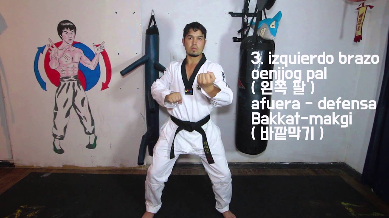 KIBON 1 - taekwondo
