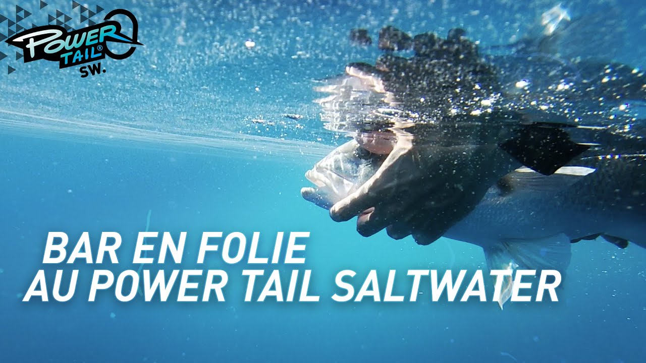 Fiiish - Bar en FOLIE au Power Tail Salt Water