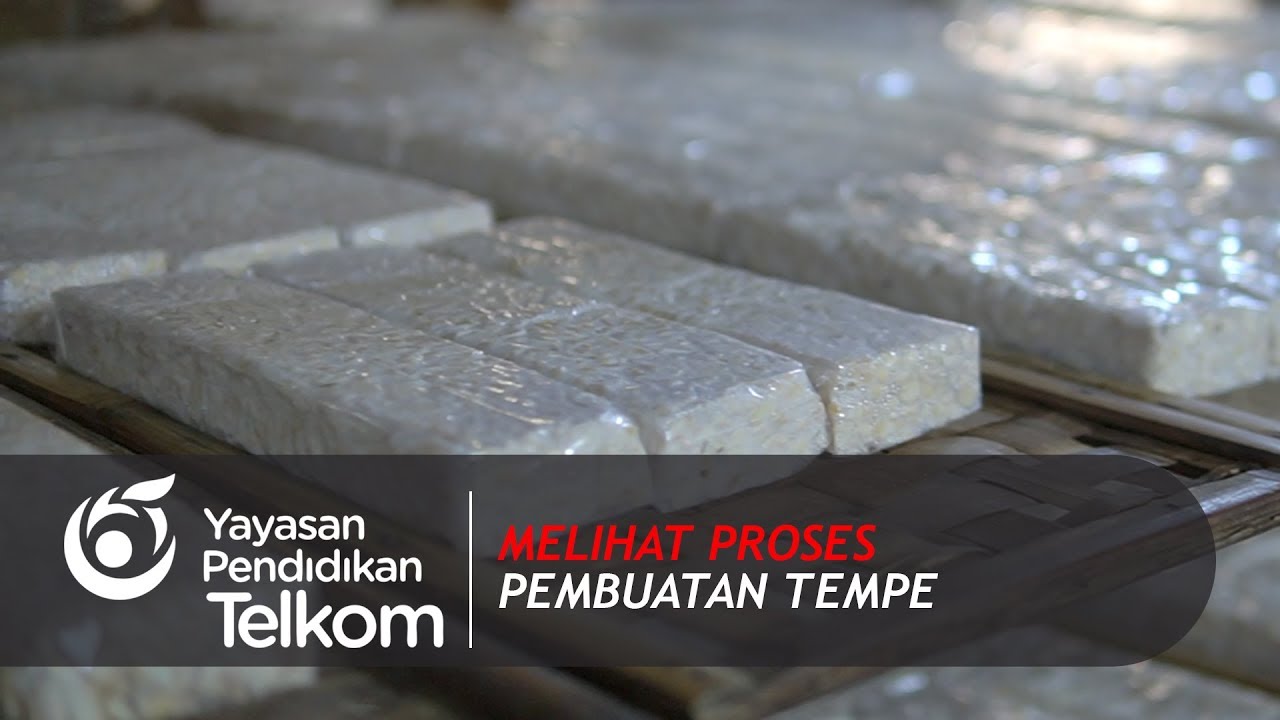 Melihat Proses Pembuatan Tempe