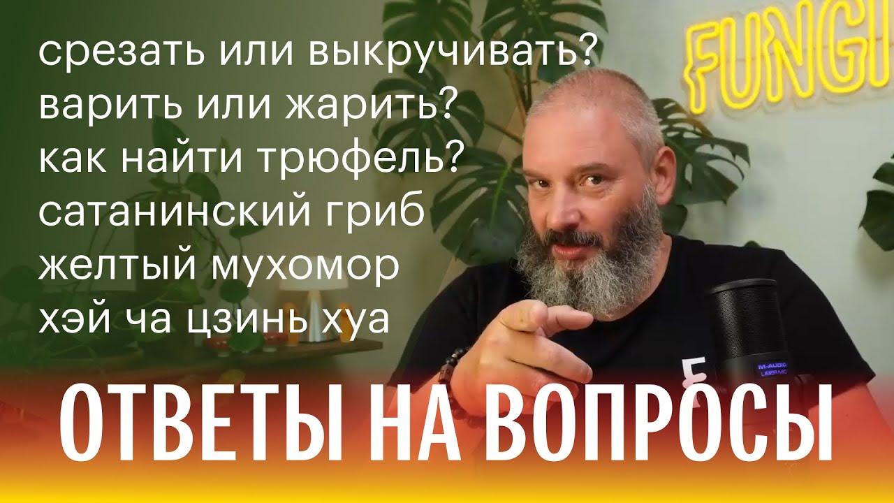 Отвечаю на ваши вопросы о грибах. Кулинария, обработка, сбор, ферментация. Михаил Вишневский