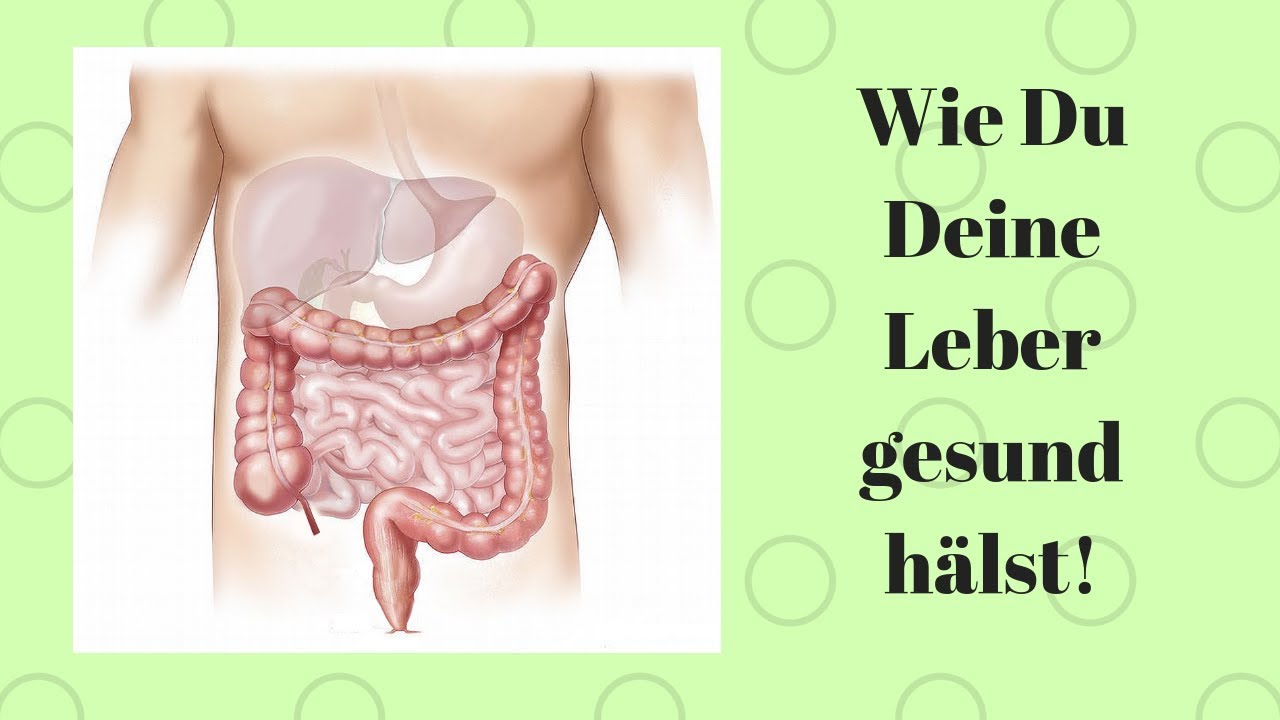 Wie Du Deine Leber gesund hältst