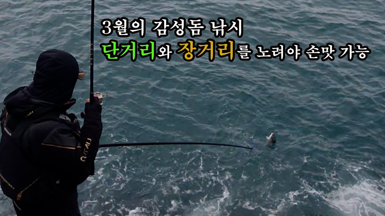 감성돔 낚시 장거리 단거리 공략 할줄 알아야  지금은 얼굴 볼수 있는시기 여수 -연도(소리도)