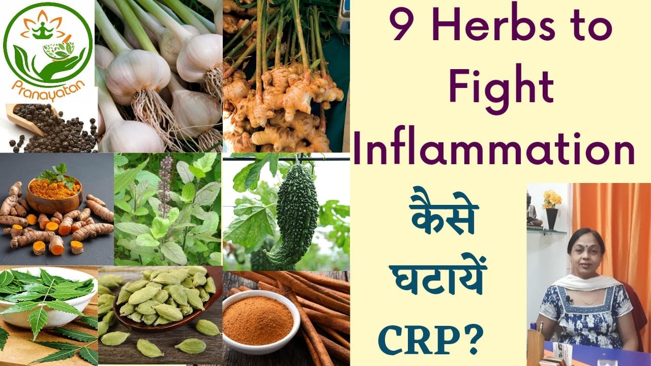 9 Herbs that Fight with Inflammation and Decrease CRP | घर पर घटायें CRP | Pranayatan Ayurveda
