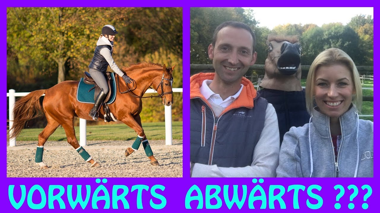 Vorwärts Abwärts Reiten? I Trainer vs Reiter I Reitbegriffe erklären Folge 3