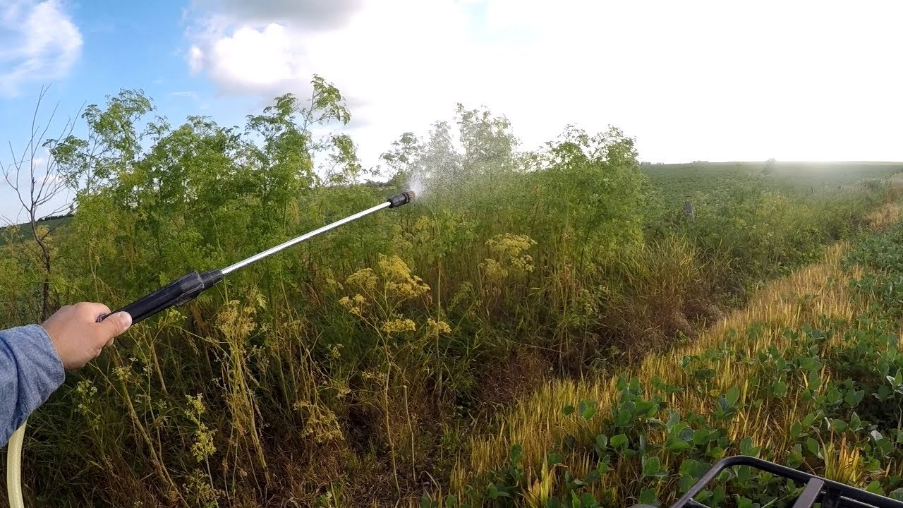 Spraying Fenceline Weeds
