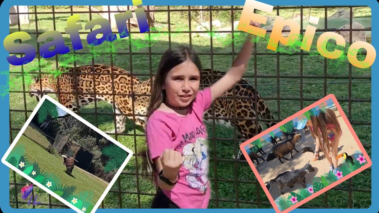 Safari de Madrid - Una aventura epica