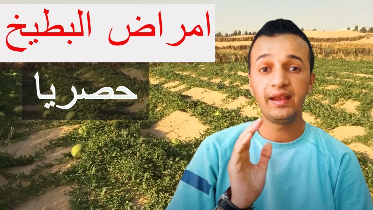 البطيخ الاحمر مريض اكتشف العلاج بالتجربة
