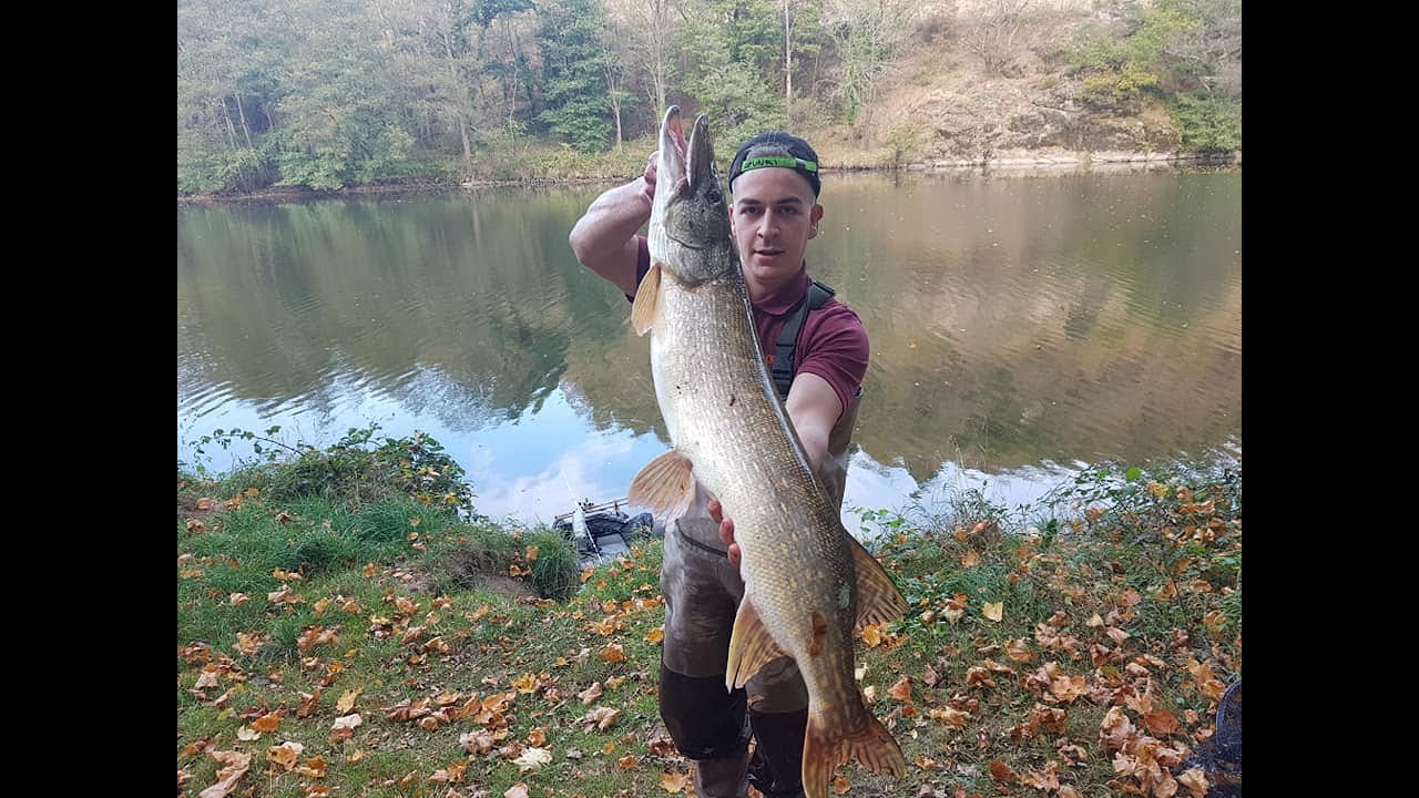 Pêche du brochet aux leurres en étang
