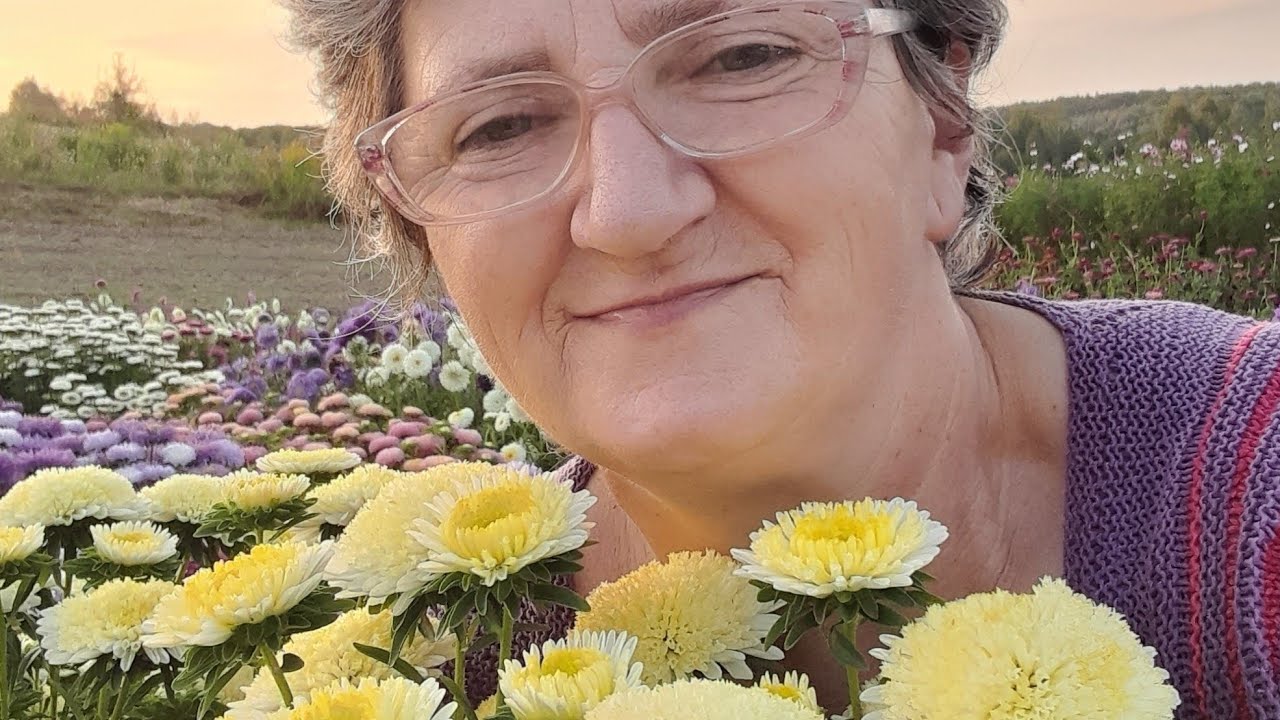 Айстра в моєму саду.Розказую секрети.#квіти #flowers #garden #українськийблогер 