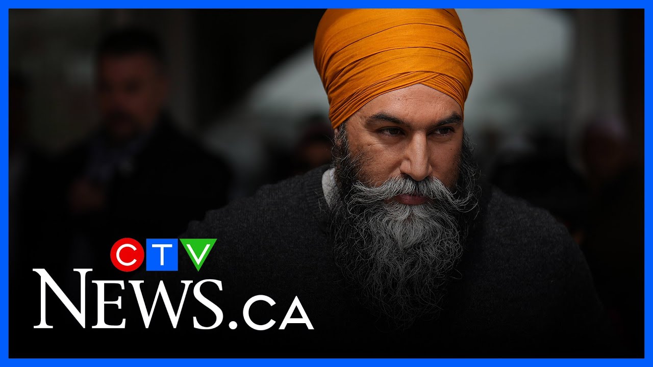 NDP strategist 'worried' that the NDP could lose official party status | Strategist