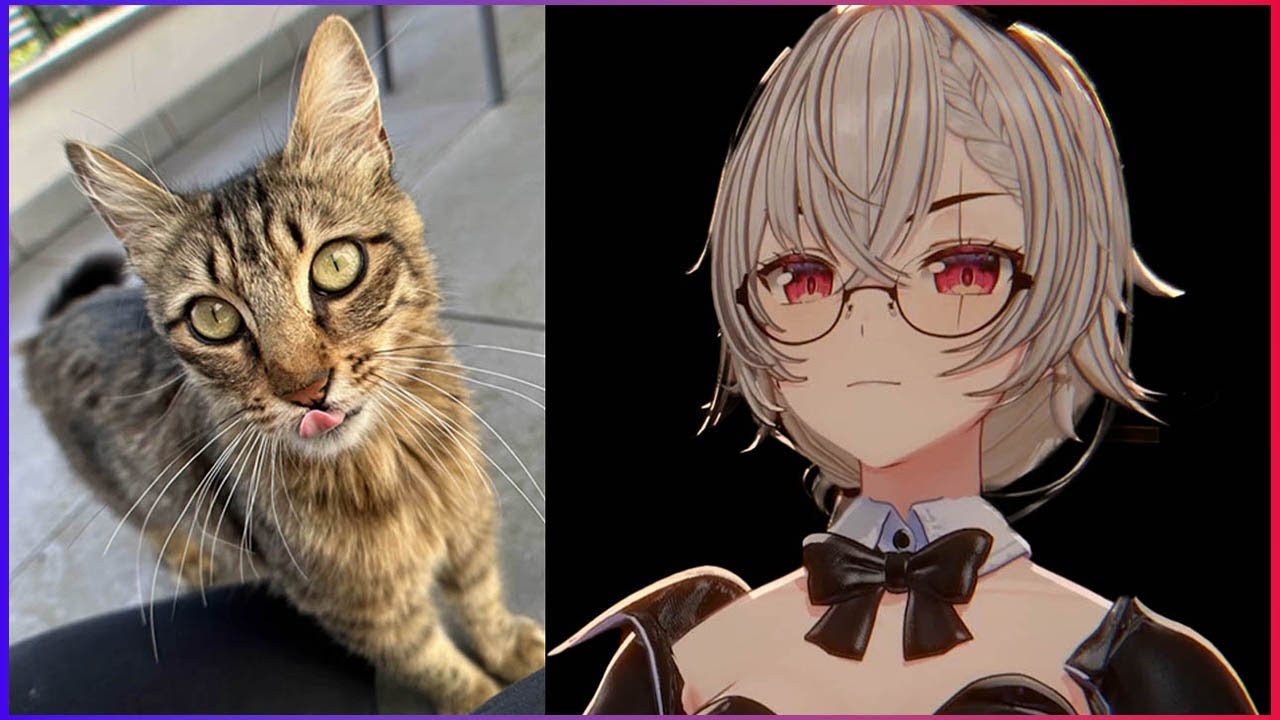 SARUEI'S NEW CAT