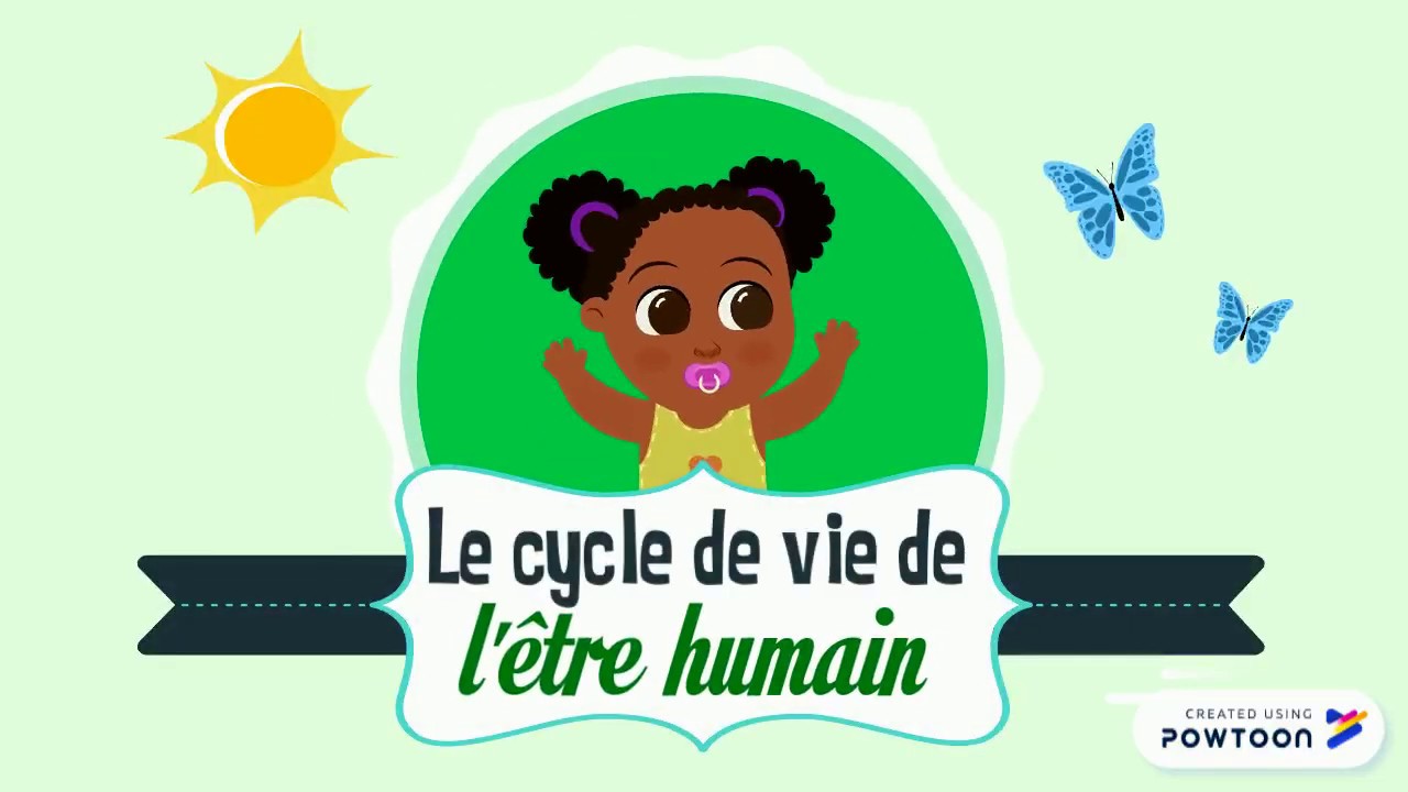 Le cycle de vie de l'&ecirc;tre humain - version courte