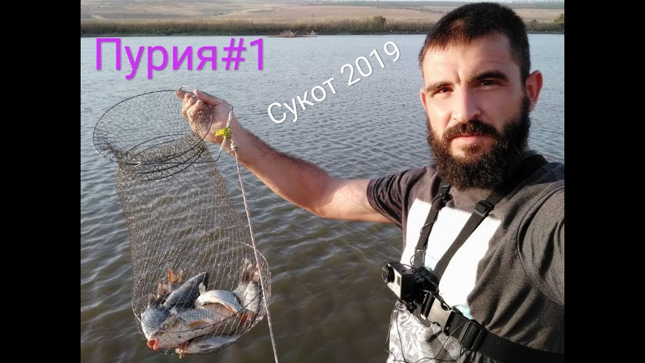 Пурия#1. Хороший мушт и крупный карп под берегом. Ночная рыбалка 13.10.19  рыбалка в Израиле
